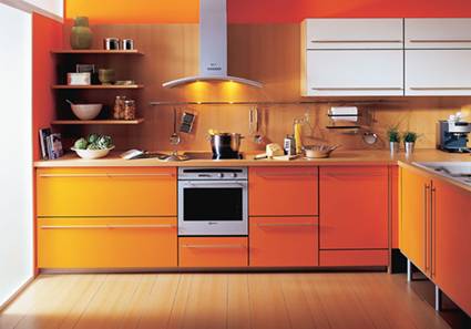 FIGURA 355 -	M&Oacute;VEIS DE COZINHA DA SCHMIDT E OP&Ccedil;&Otilde;ES DE CORES DAS FACHADAS (FRAN&Ccedil;A, 2004)